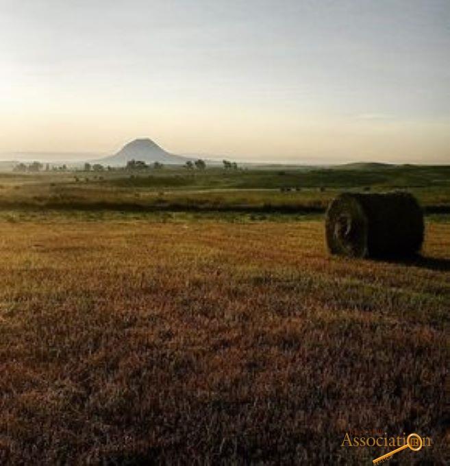 Golden field with a hay bale under a hazy sky. A distant mountain is visible. [AI-generated text]