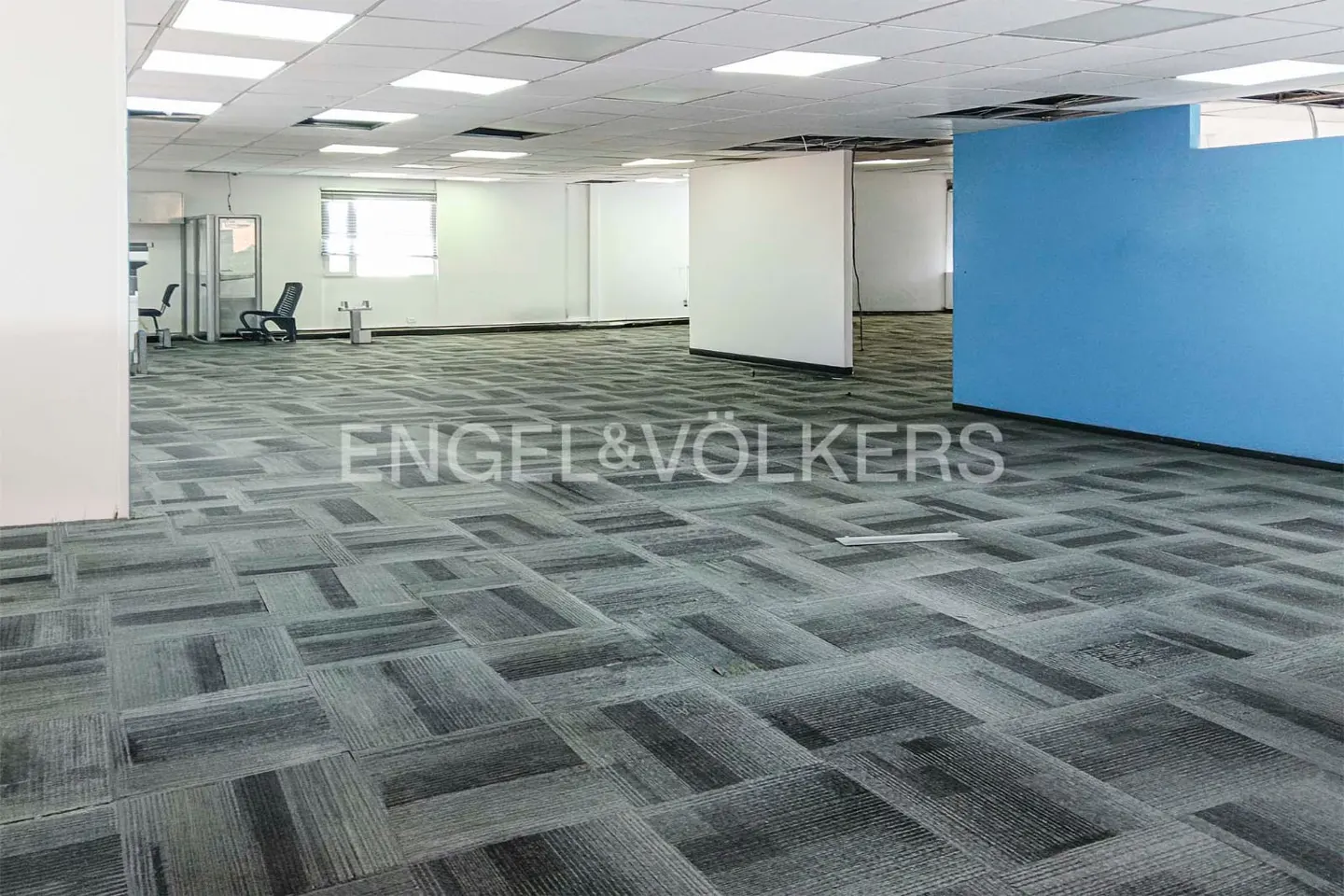 An empty office space with gray carpet, white walls, and a blue accent wall. Overhead lighting illuminates the room.