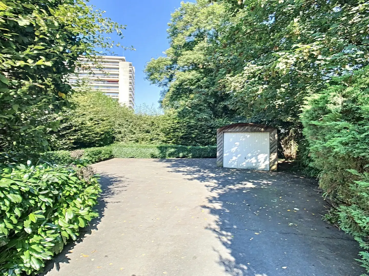 Driveway leading to a white garage, surrounded by green trees and bushes. A tall building is visible in the background.
