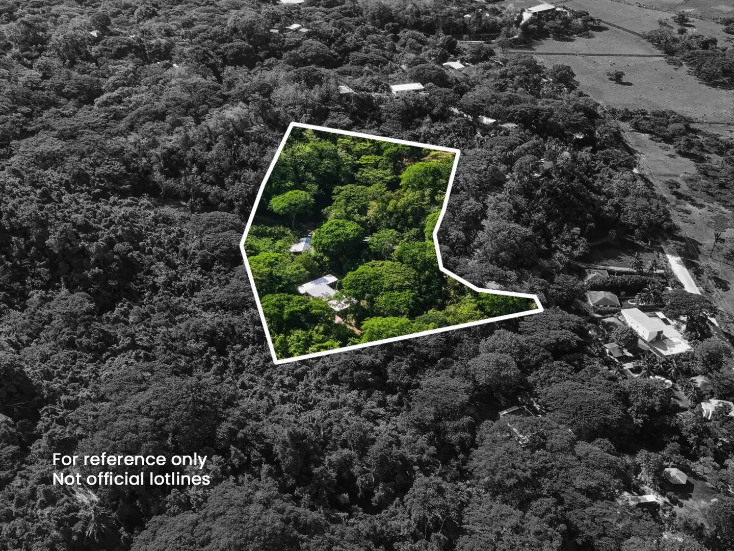 Aerial view of a property outlined in white, surrounded by lush green trees in a black and white landscape.