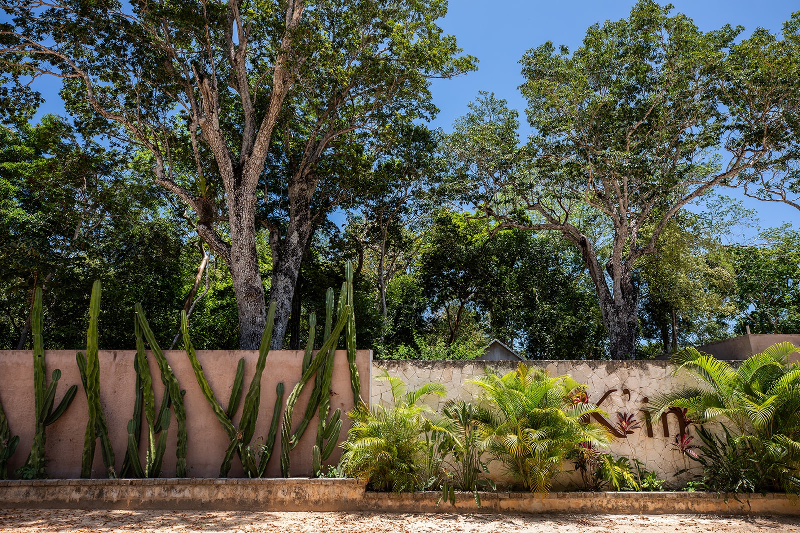 Exterior view of a property with a tan wall, cacti, tropical plants, and trees against a blue sky.
