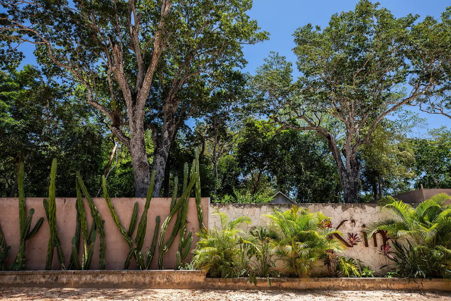 Exterior view of a property with a tan wall, cacti, tropical plants, and trees against a blue sky.