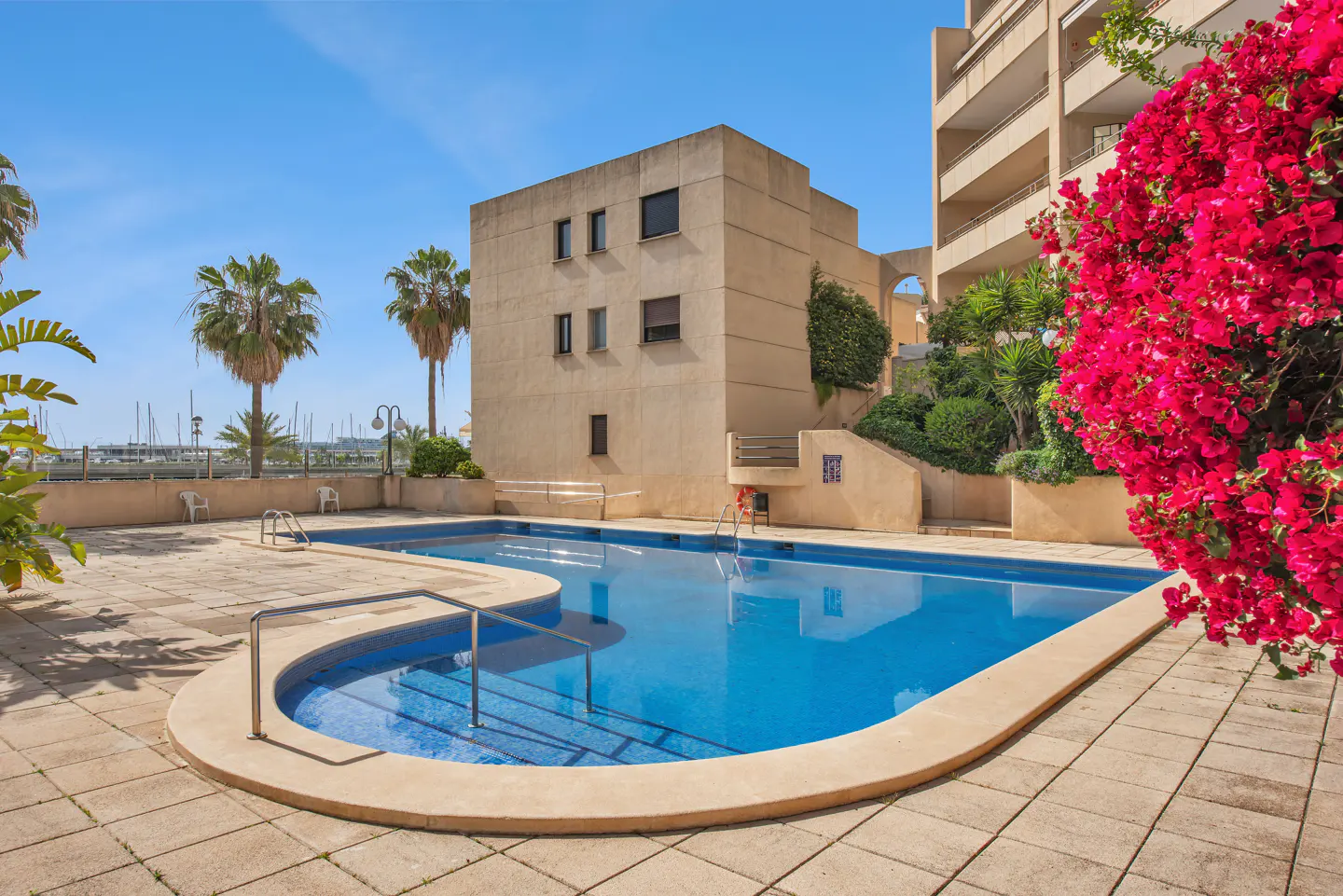 Outdoor pool with blue water, surrounded by beige tile, next to a building and bright pink flowers. Palm trees and a marina are in the background.
