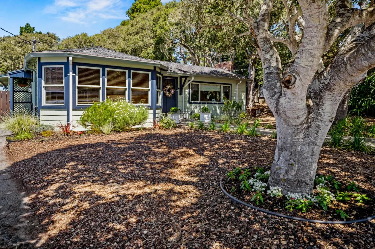 Exterior of a light green house with dark blue trim, a dark door with a wreath, and a large tree in the yard.