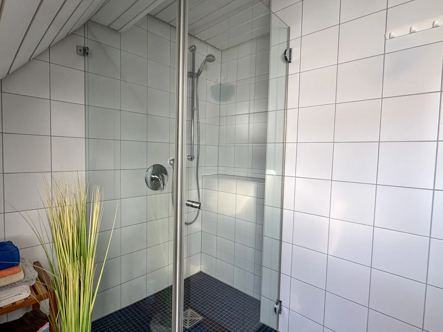 A tiled shower with a glass door, a silver shower head, and a blue tiled floor. A plant and towels are on a wooden shelf outside the shower.