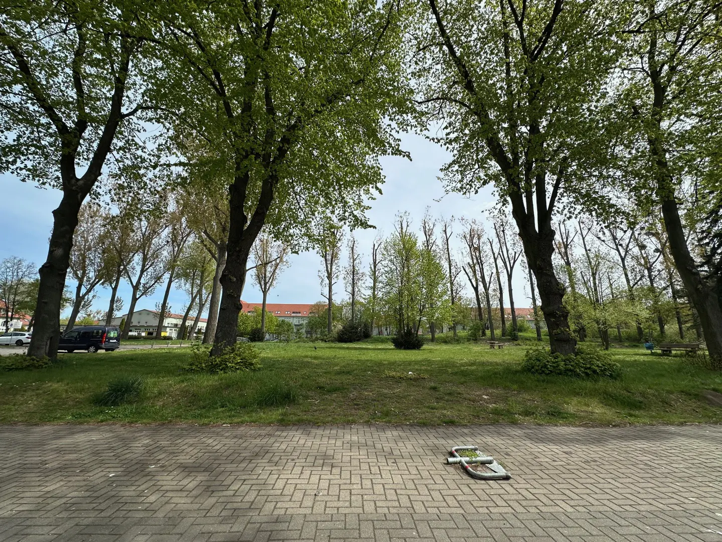 Park view with green trees and grass. A brick path is in the foreground. Benches are visible in the background.