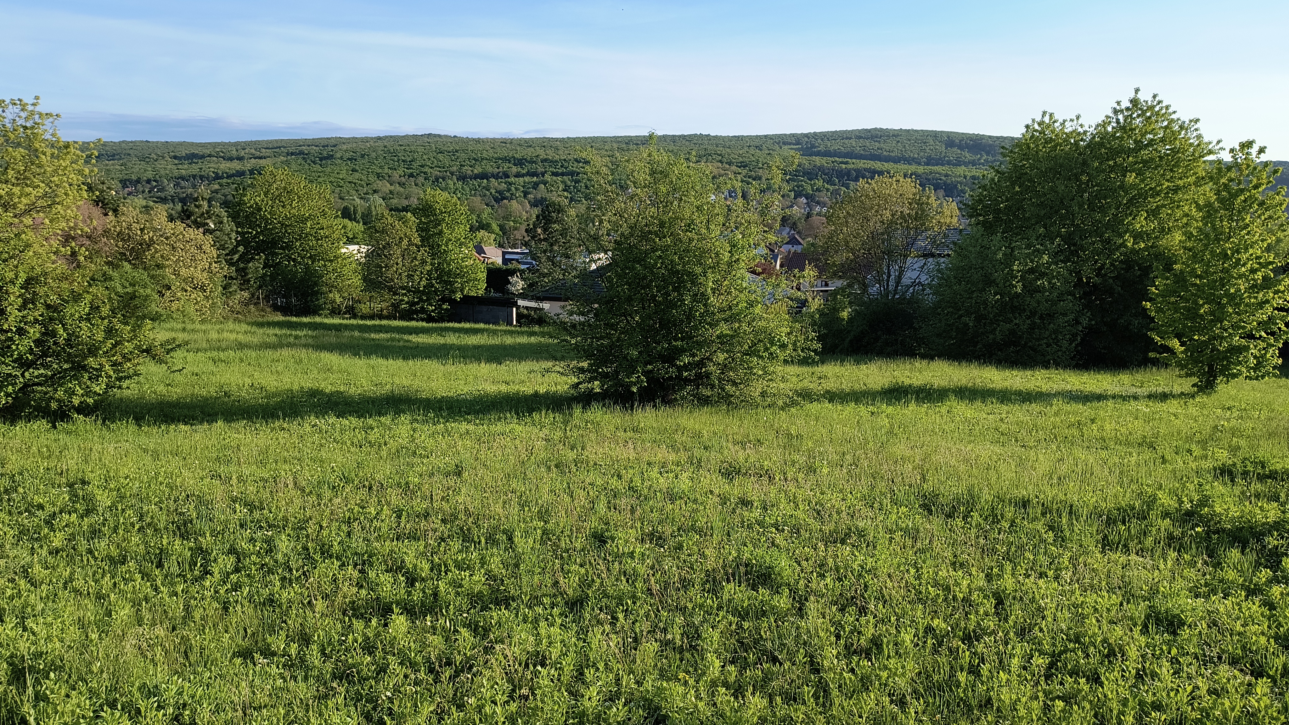 Prime Plot with Panoramic Views in Nagykovácsi