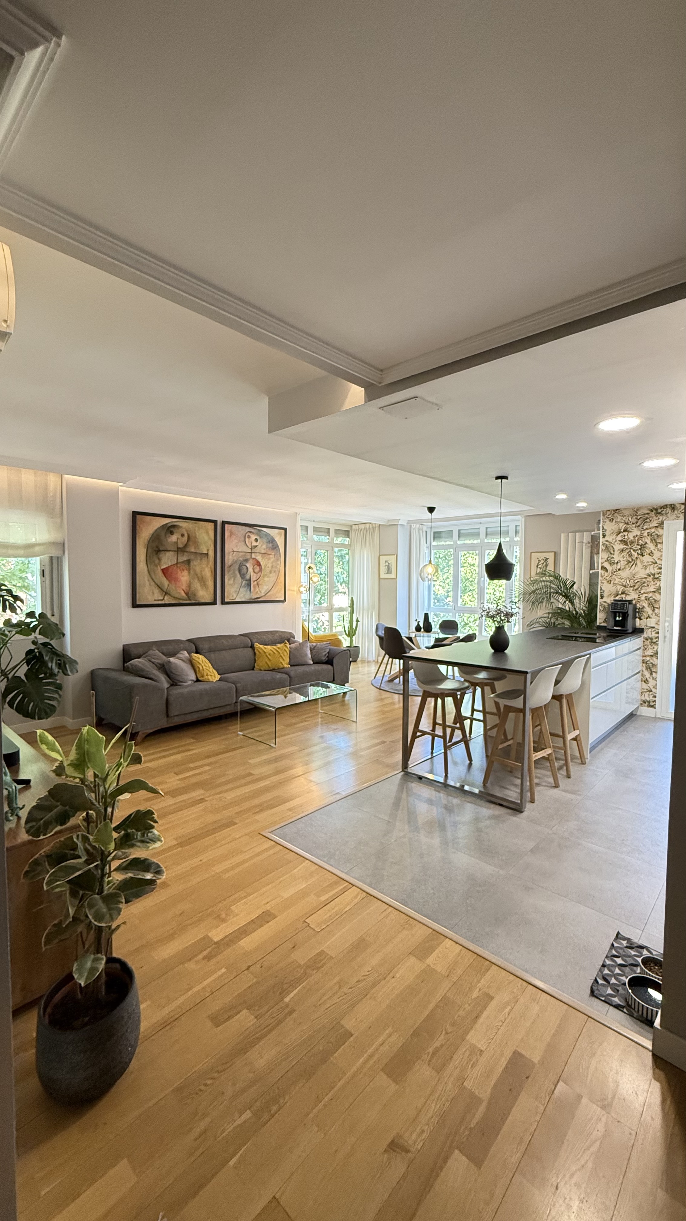 Open-plan living area with hardwood floors, grey sofa, dining island with stools, and a large potted plant in foreground.