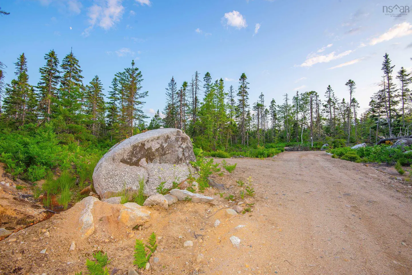 A dirt road leads into a forest with tall green trees under a blue sky. A large gray boulder sits beside the road.