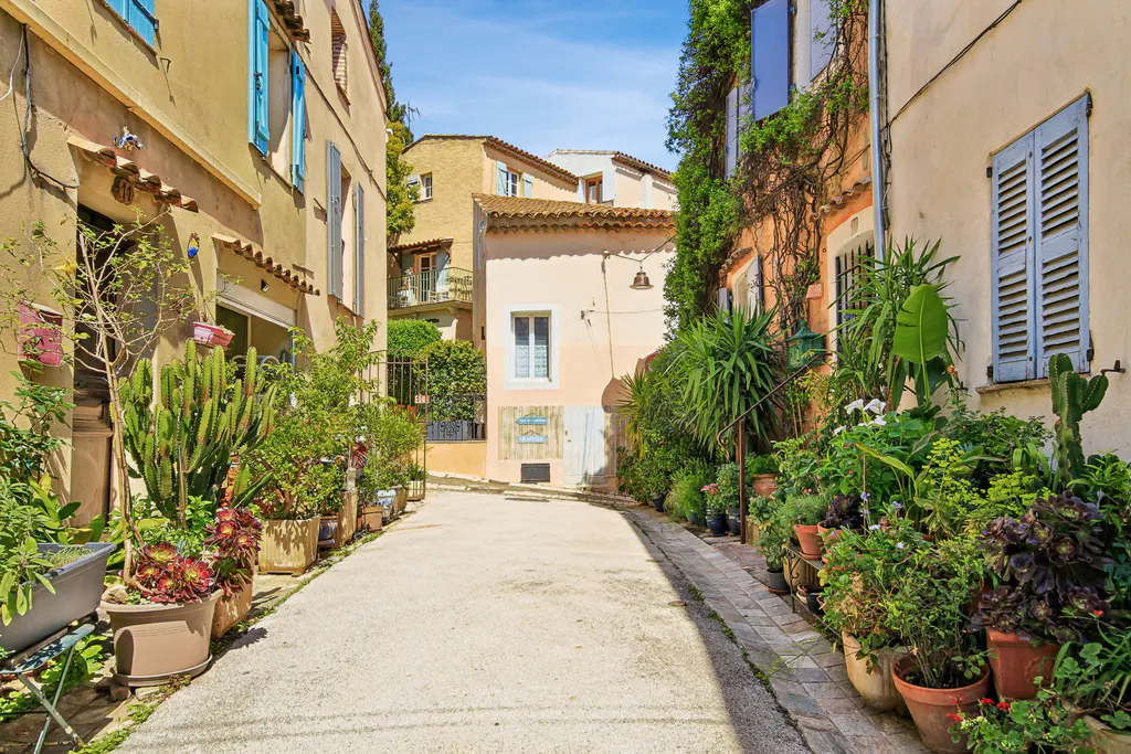 Narrow street lined with potted plants and colorful buildings with blue shutters on a sunny day.