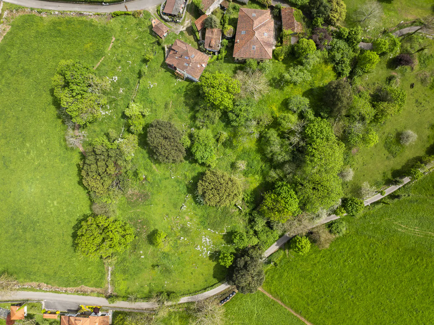 Aerial view of a lush green landscape with scattered trees, houses with red tile roofs, and winding roads.