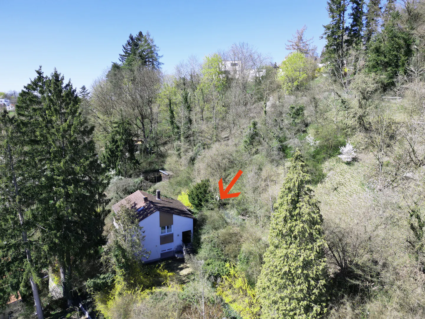 Aerial view of a white house with a brown roof, surrounded by lush green trees and foliage on a hillside. An arrow points to the property.