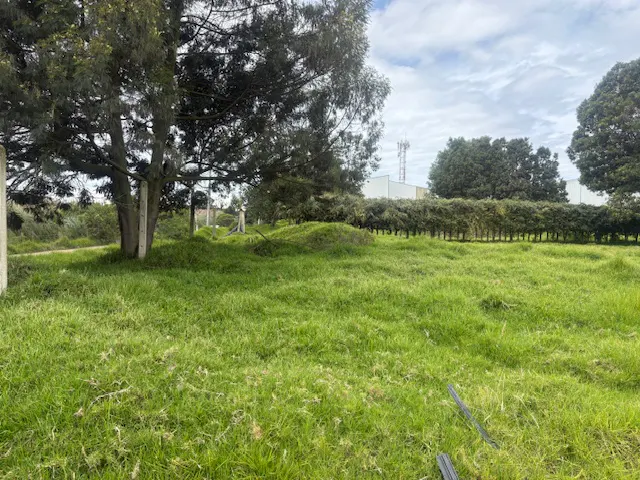 A grassy lot with trees and a hedge row under a cloudy sky. A building and cell tower are visible in the background.