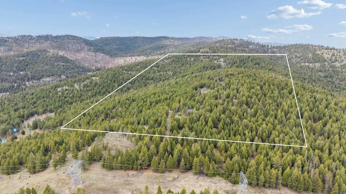 Aerial view of a forested property outlined in white, with rolling hills and a blue sky. Power lines are visible in the foreground.