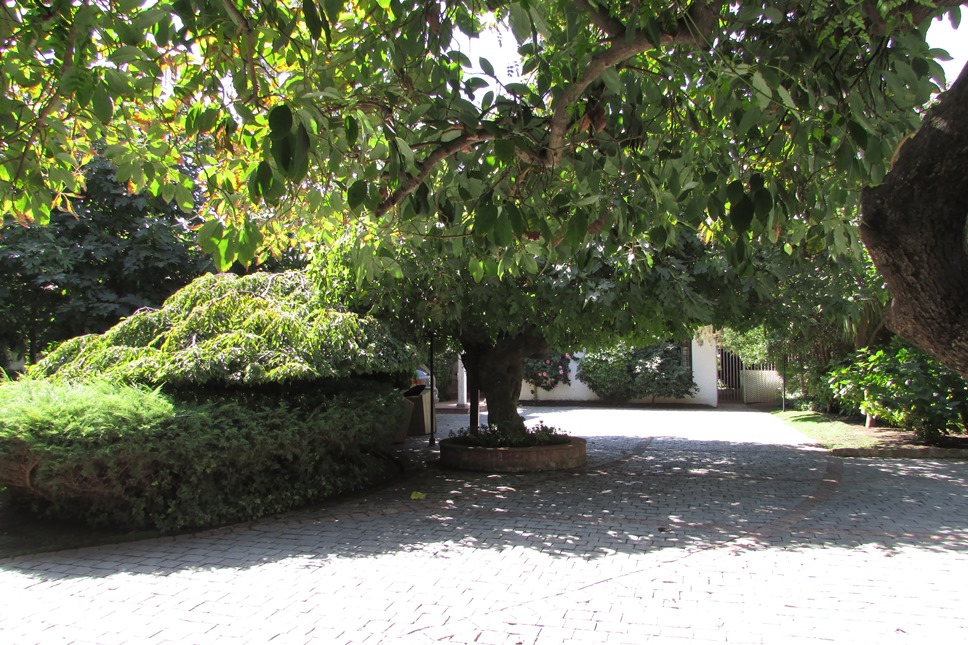 Gran Casa en La Reina