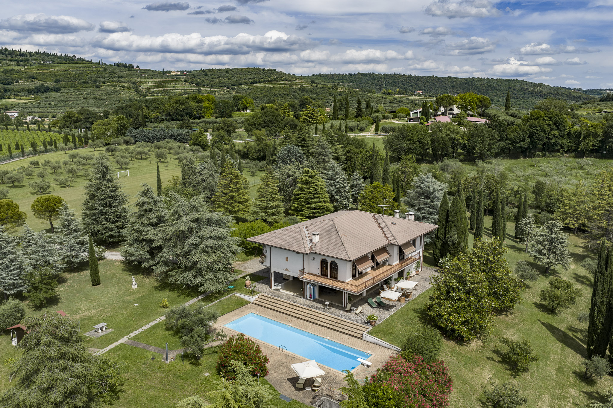 The Olive Grove Hill