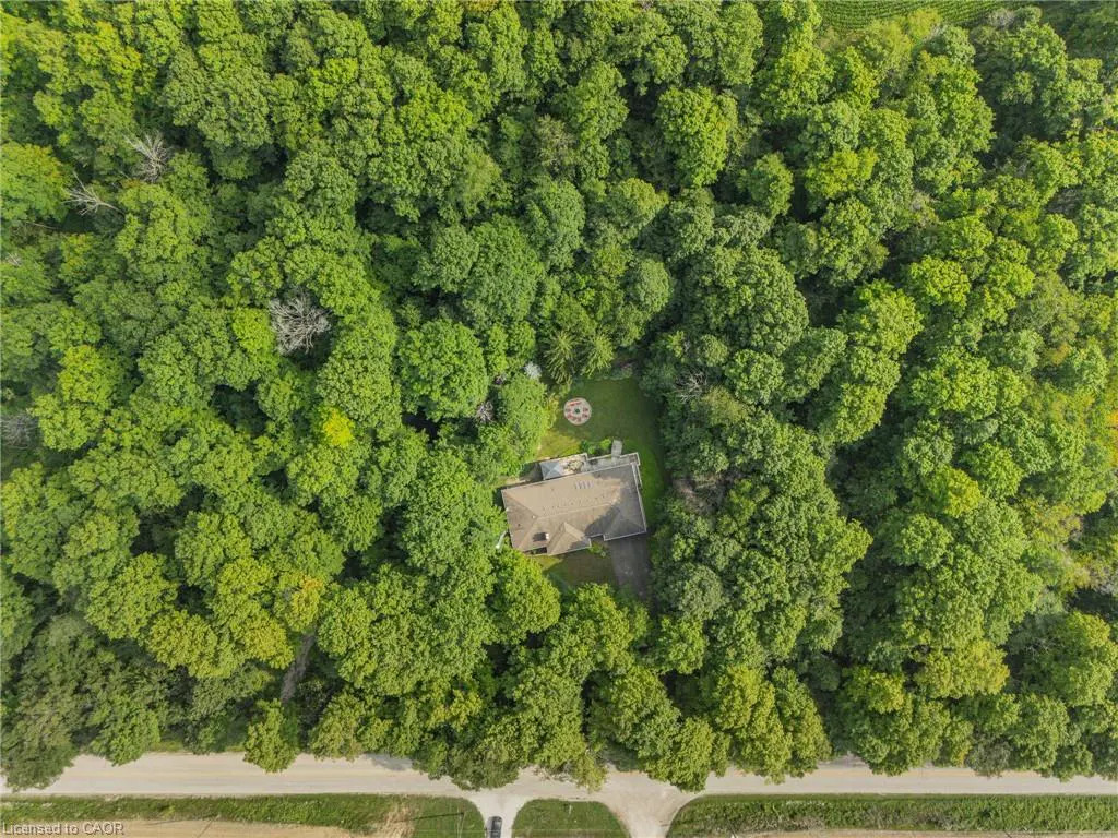 Aerial view of a house with a brown roof, surrounded by dense green trees, near a road.