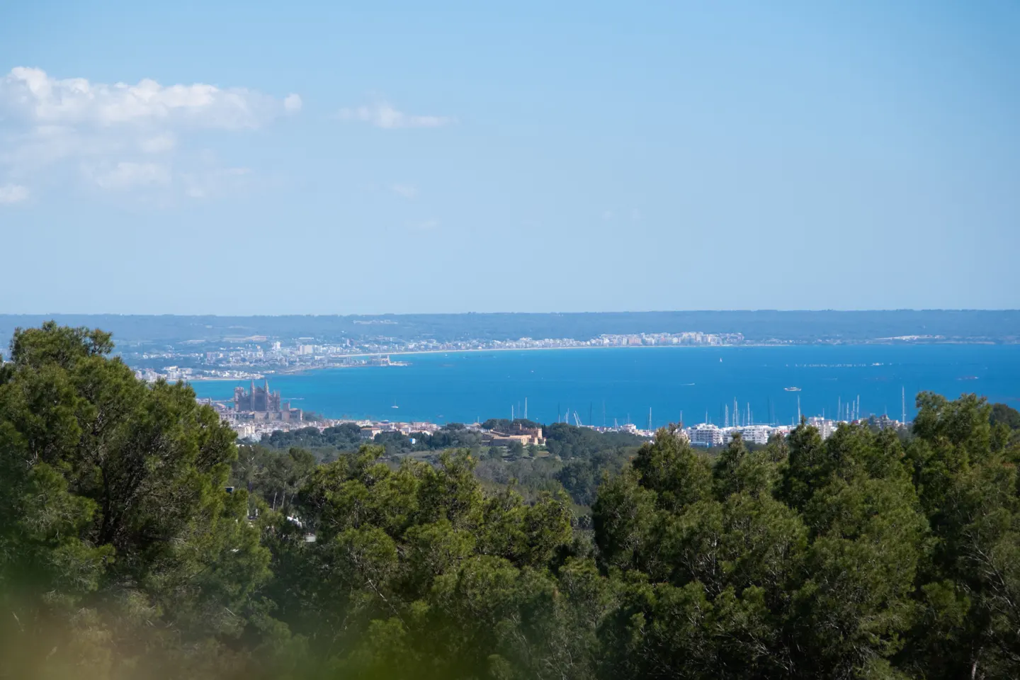 Distant view of Palma de Mallorca, Spain, from a green hillside. Blue sea and sky.