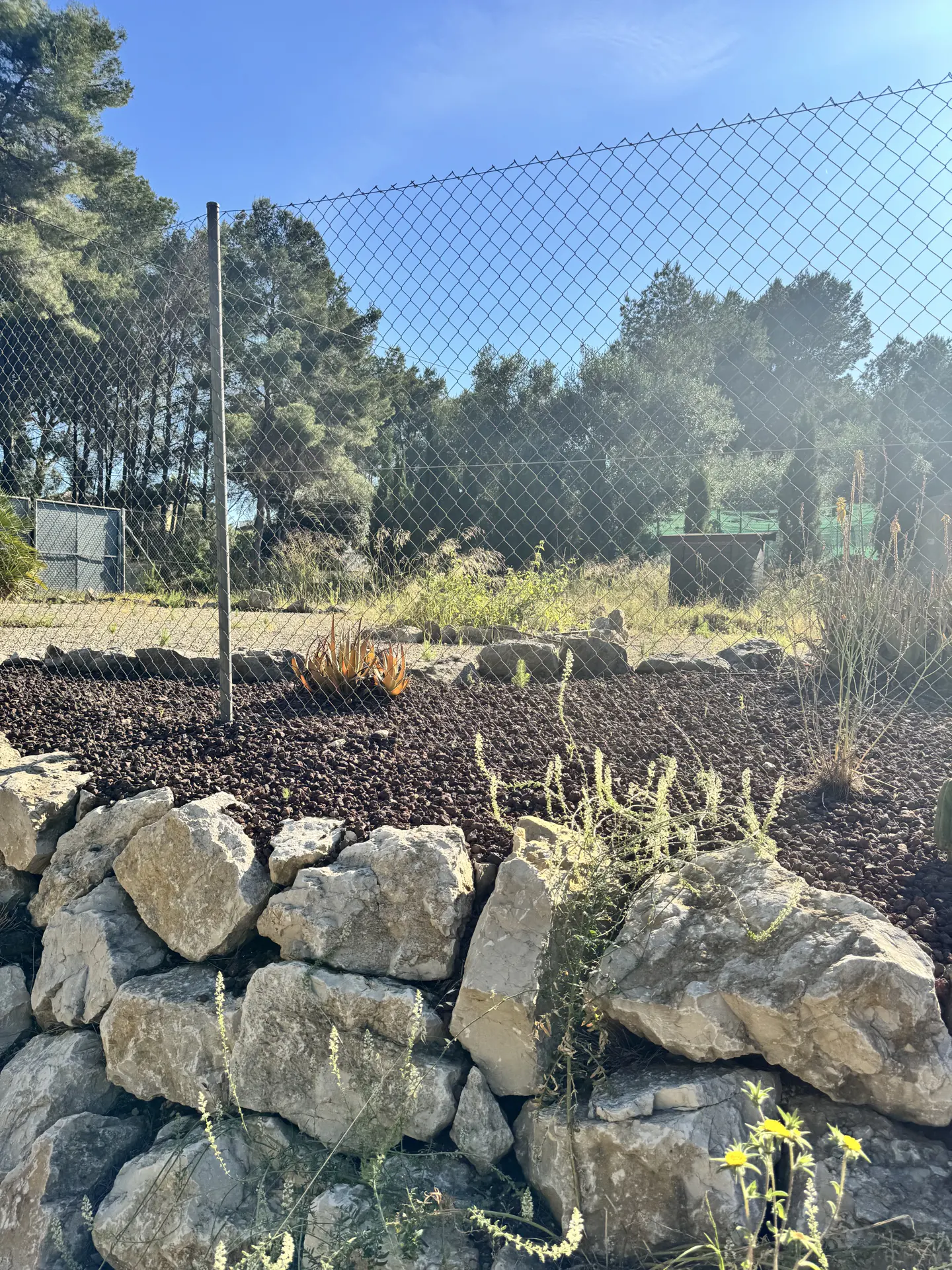 Landscaped yard with a stone wall, dark mulch, and a wire fence. Trees and blue sky are visible in the background.
