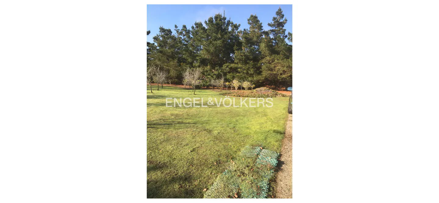 Lush green lawn with tall trees in the background under a blue sky. Engel & Völkers logo is superimposed on the lawn.