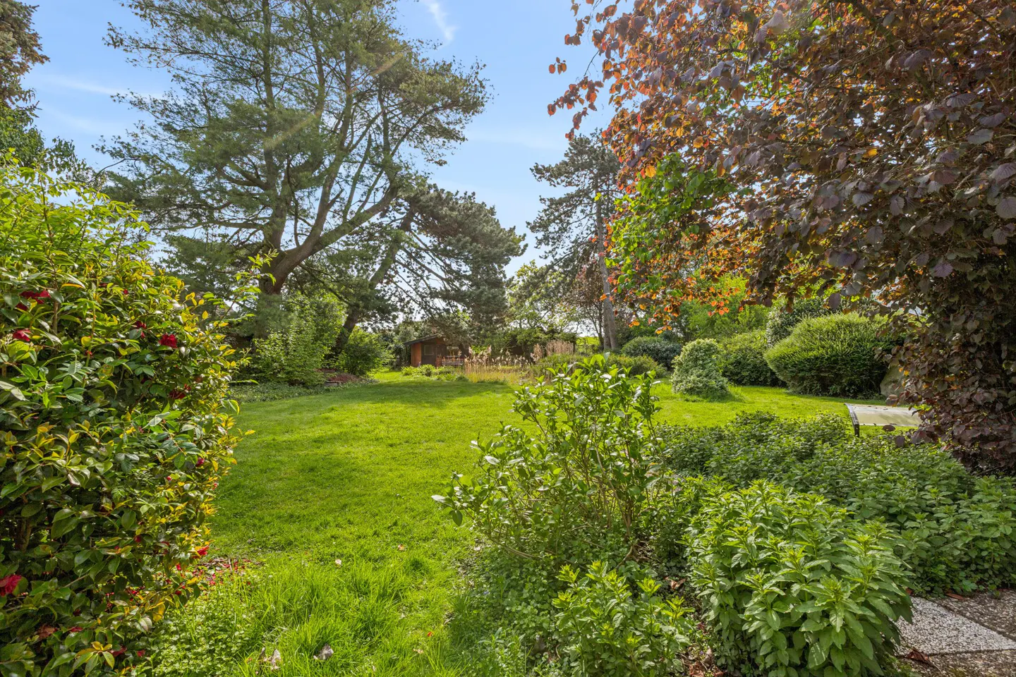 Lush green lawn with trees and bushes under a blue sky. A small shed is visible in the background.