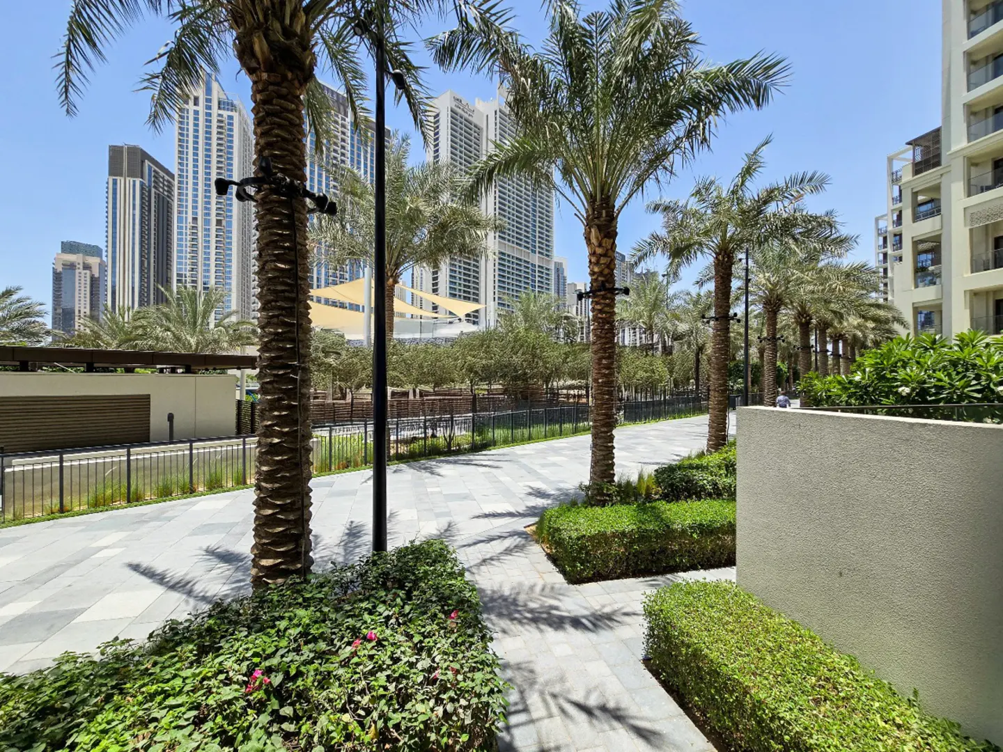Outdoor view of a paved walkway lined with palm trees, green bushes, and modern buildings under a clear blue sky.