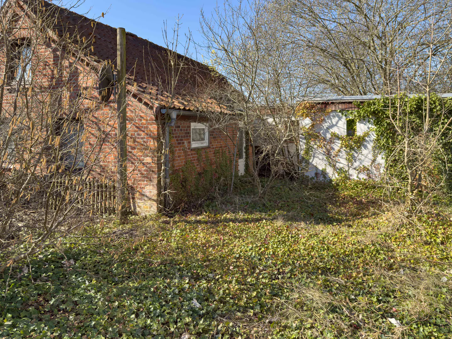 Exterior view of a red brick house with a red tile roof, surrounded by overgrown vegetation.