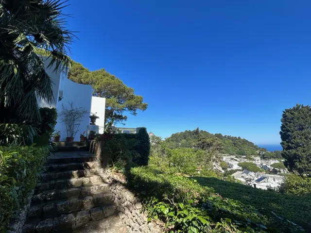 Stone steps lead to a white building with potted plants, set against a backdrop of lush greenery and a clear blue sky.
