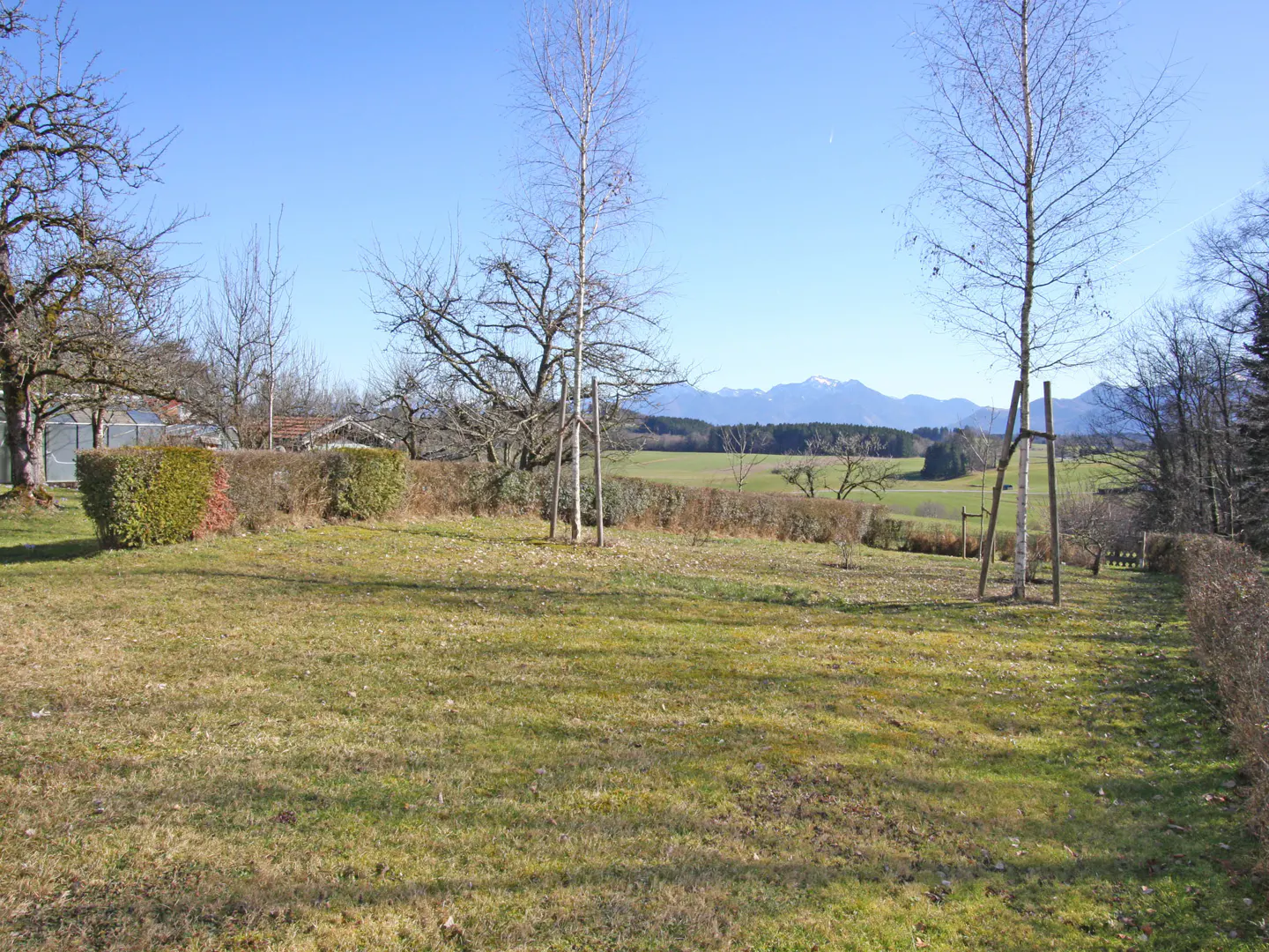 A grassy yard with trees and a hedge, with mountains in the distance under a blue sky.