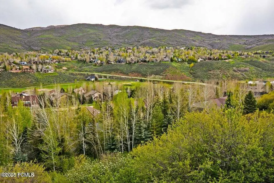 Scenic view of homes nestled in green hills, with trees in the foreground and a mountain range in the background.