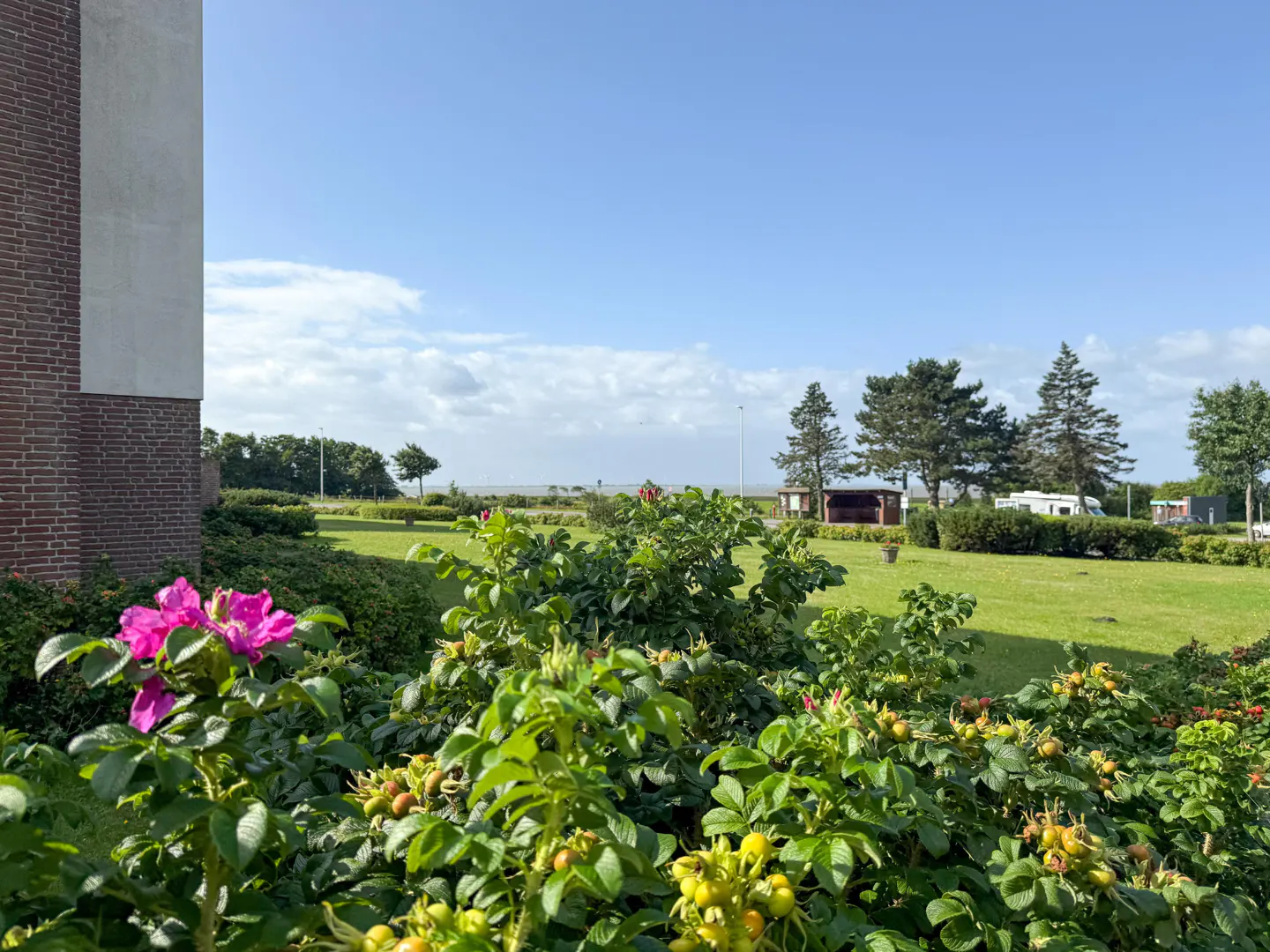 View of a green lawn with trees, a gazebo, and RVs under a blue sky. Pink flowers are in the foreground.