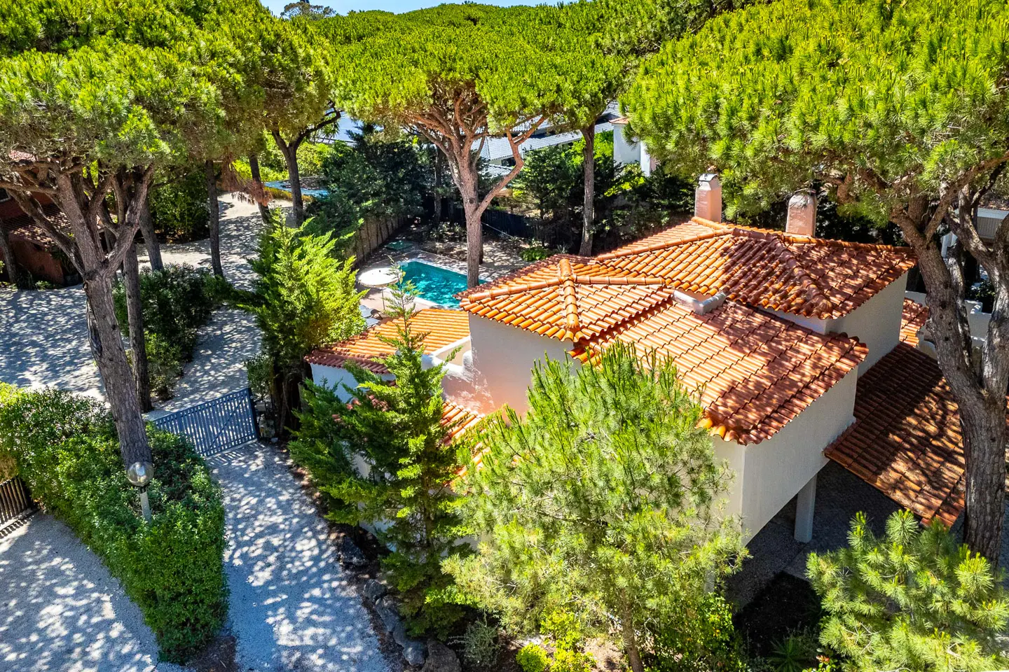 Aerial view of a white villa with a terracotta tile roof, surrounded by lush pine trees and a private swimming pool.
