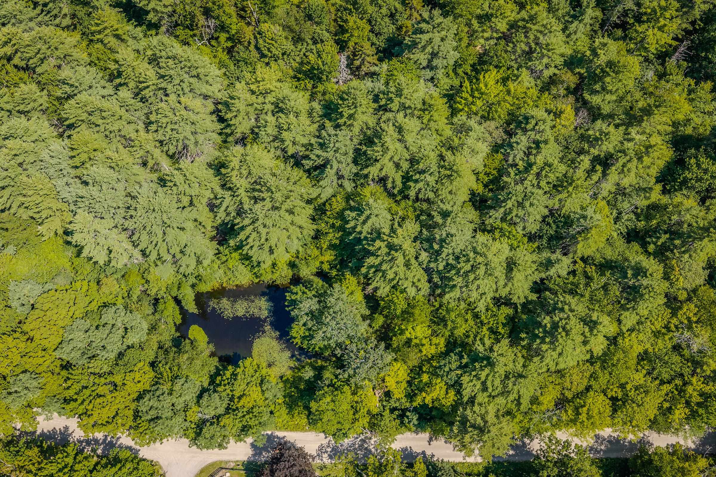 Beautifully Wooded Lot with Pond & 5-Bedroom WW Permit