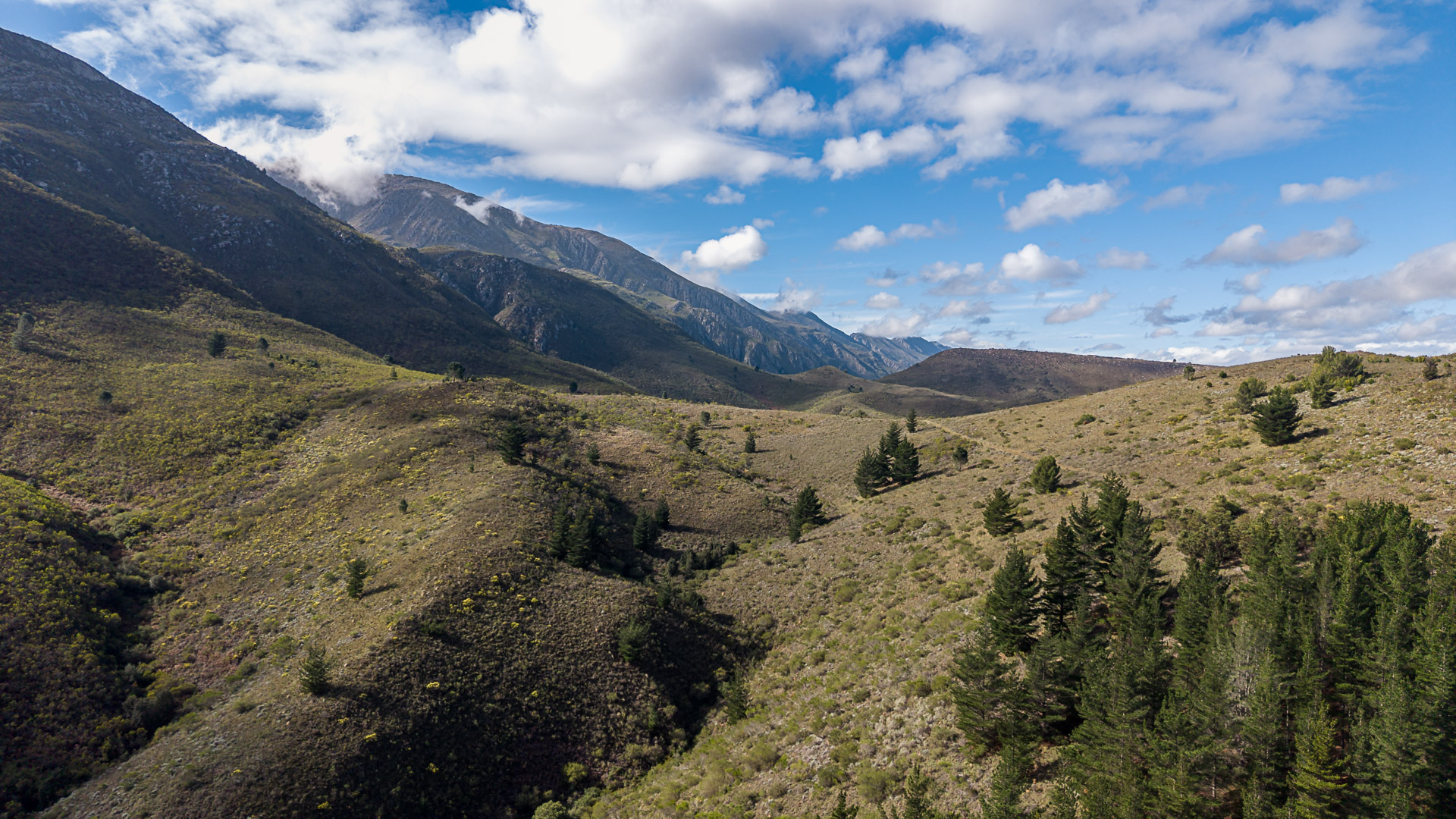 170ha of Langeberg Moutain Open Range Sanctuary