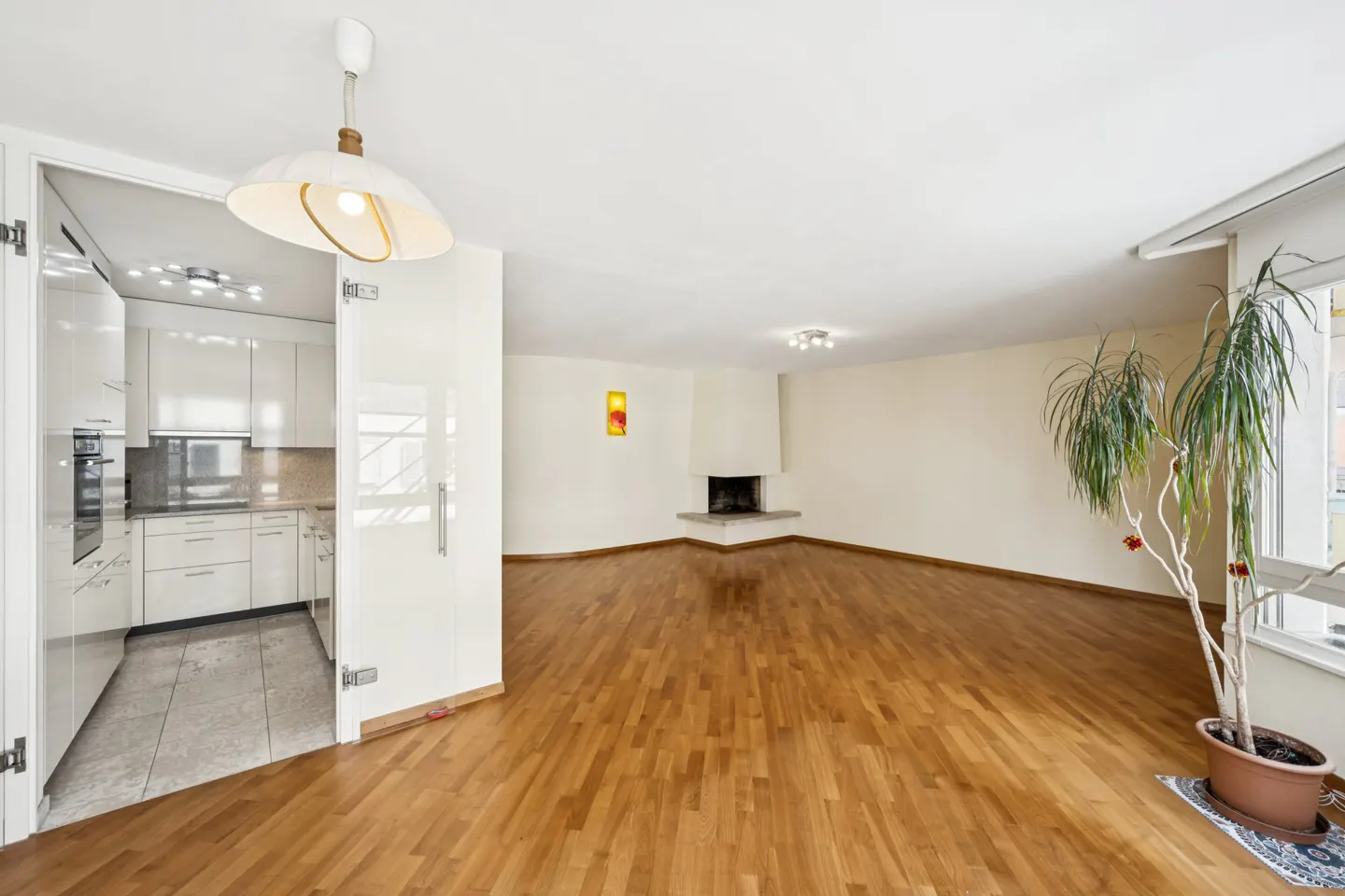 Bright, open-concept living space with hardwood floors, a fireplace, and a view into a modern white kitchen. A large potted plant sits near the window.
