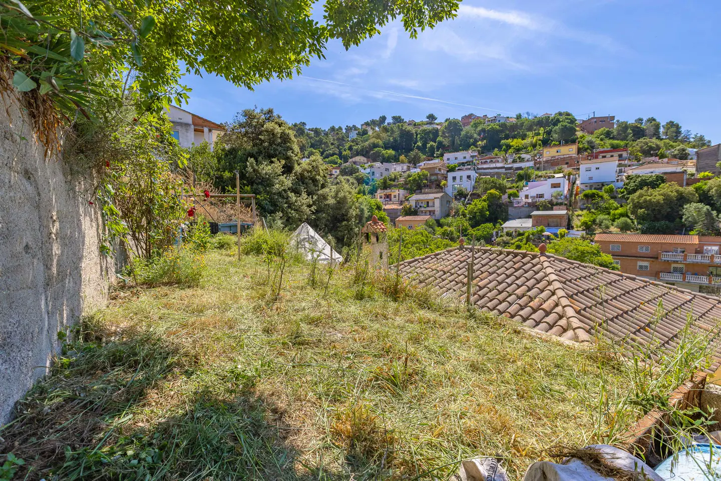 Overgrown lot with a stone wall, trees, and a view of houses on a hillside under a blue sky.