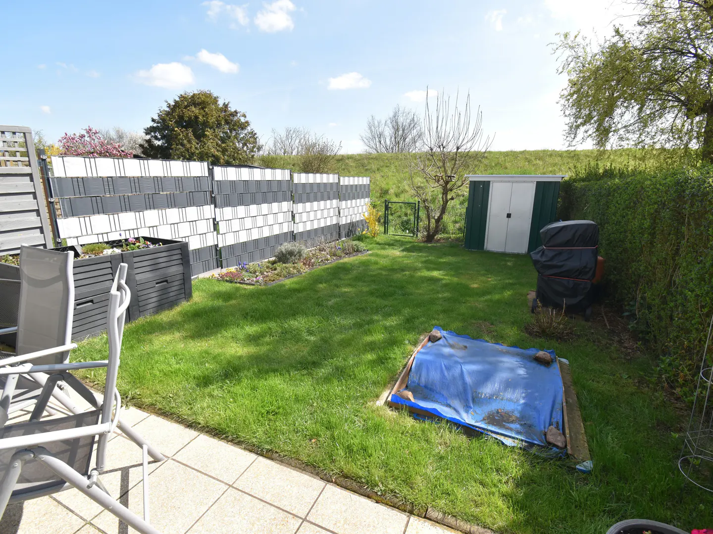 A backyard with green grass, a gray and white fence, a shed, and a blue tarp.