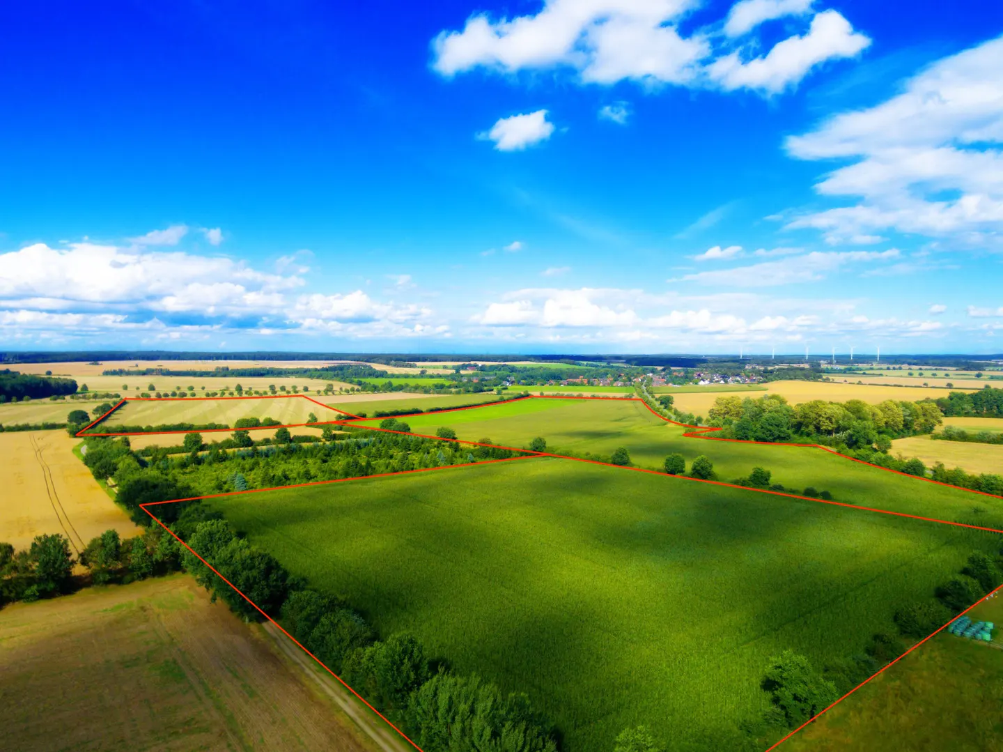 Aerial view of a large, green field bordered by trees and an orange line, under a blue sky with white clouds.