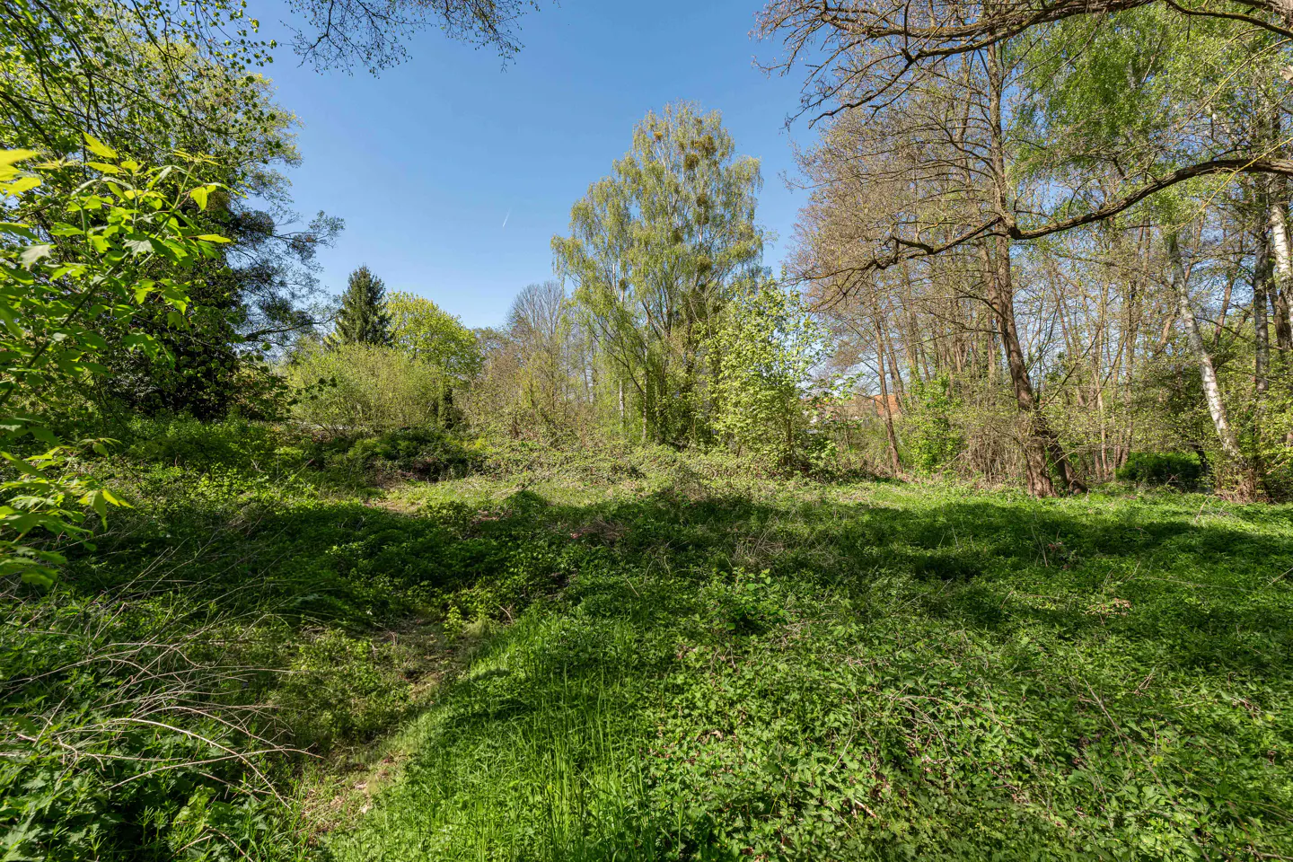 A lush green lot with trees under a blue sky.