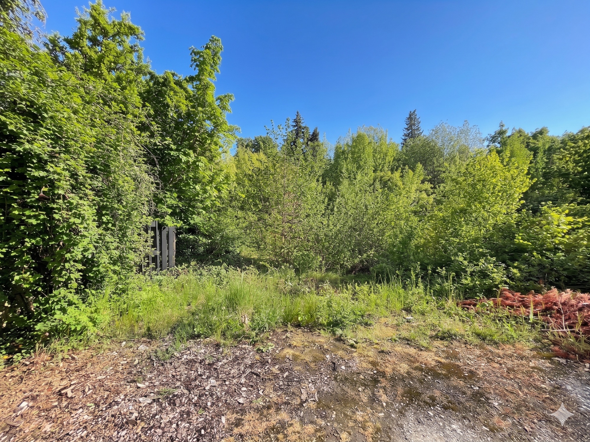 A vacant lot with lush green trees under a clear blue sky. A dark wooden fence is partially visible on the left.