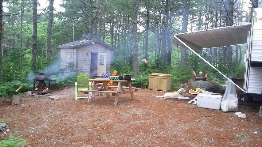 A campsite with a wooden shed, picnic table, fire pit, and a white dog resting on the ground near a parked RV.
