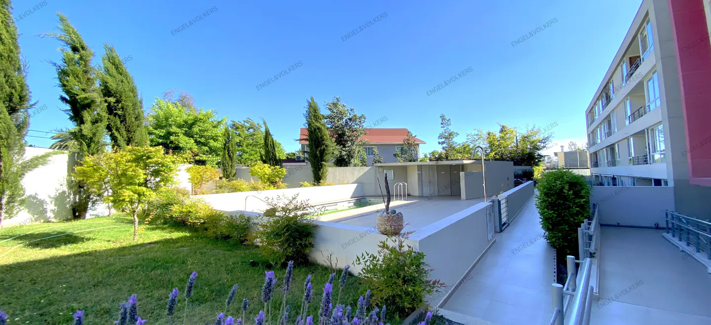 A ground-level view of a pool area with a building on the right and a lawn on the left.