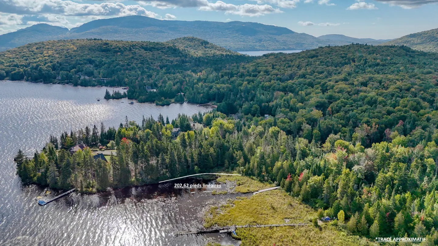 Aerial view of lakefront property with 202.62 linear feet of shoreline, surrounded by green forest and distant mountains.