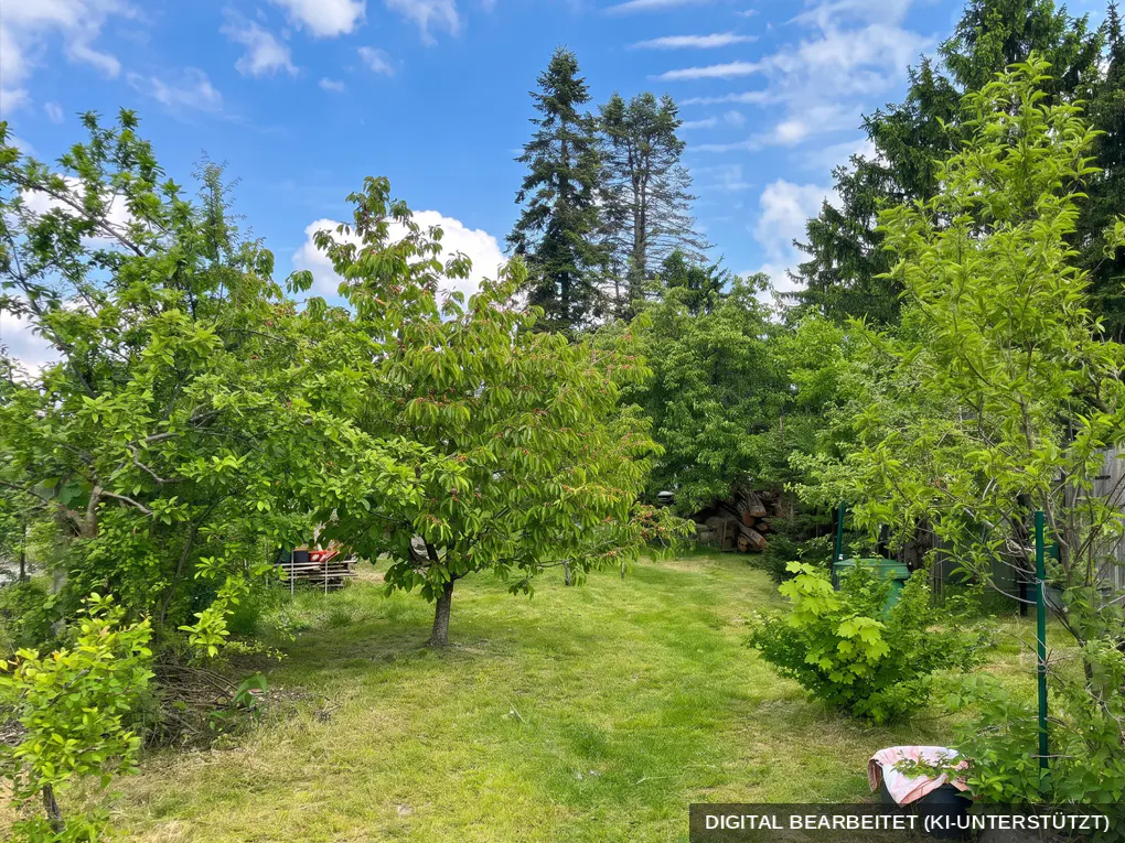 Lush green backyard with trees, grass, and blue sky. Tall evergreens in the background. A peaceful, private outdoor space.
