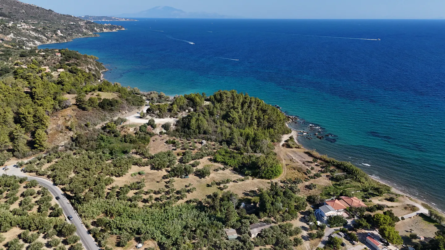 Aerial view of a coastline with lush green trees, a winding road, and a blue ocean.