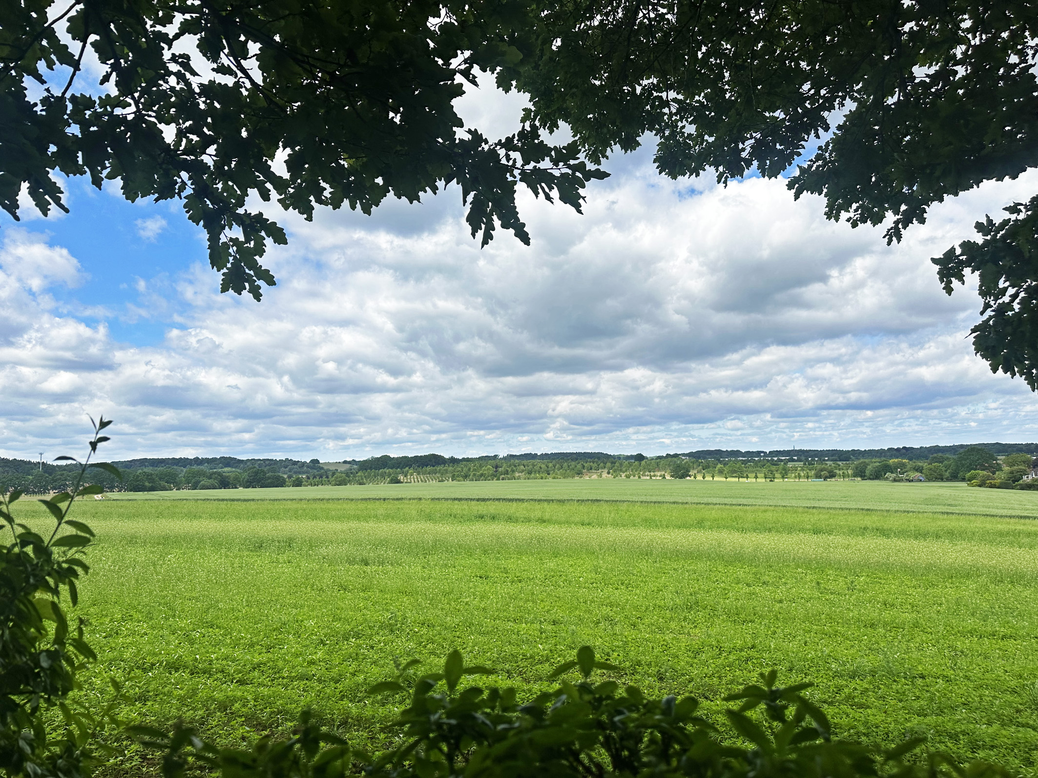 Grundstück mit Blick - Attraktives Baugrundstück mit Altbestand in Seevetal