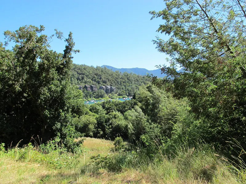 Scenic view of a lake surrounded by lush green trees and mountains under a clear blue sky. Buildings are visible in the distance.