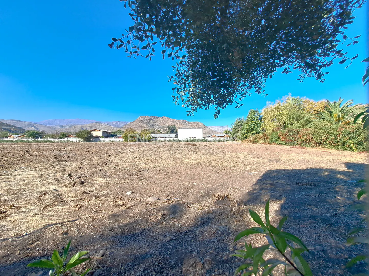 Vacant land for sale under a clear blue sky. Mountains in the background, trees on the right, and leaves in the foreground.
