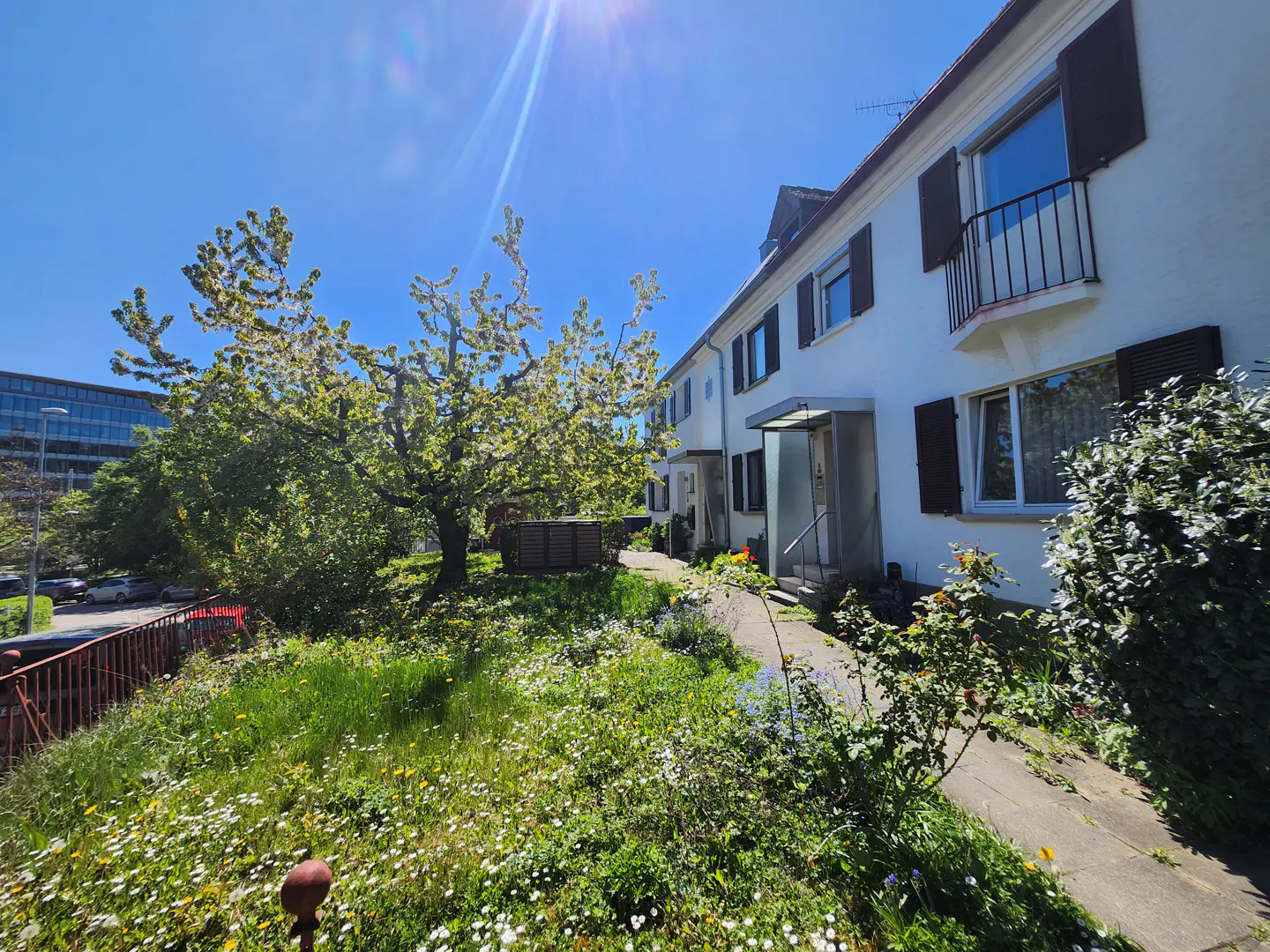 Exterior view of white townhouses with brown shutters, a green lawn, and a tree in full bloom under a bright blue sky.