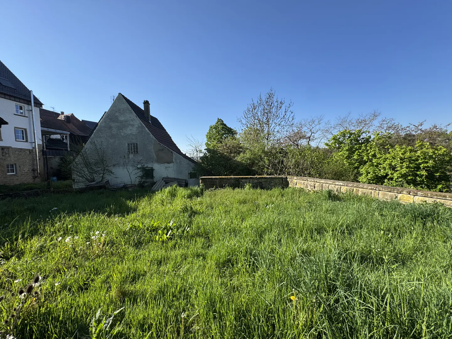 Overgrown lot with tall green grass, a stone wall, and an old building with a red roof under a clear blue sky.